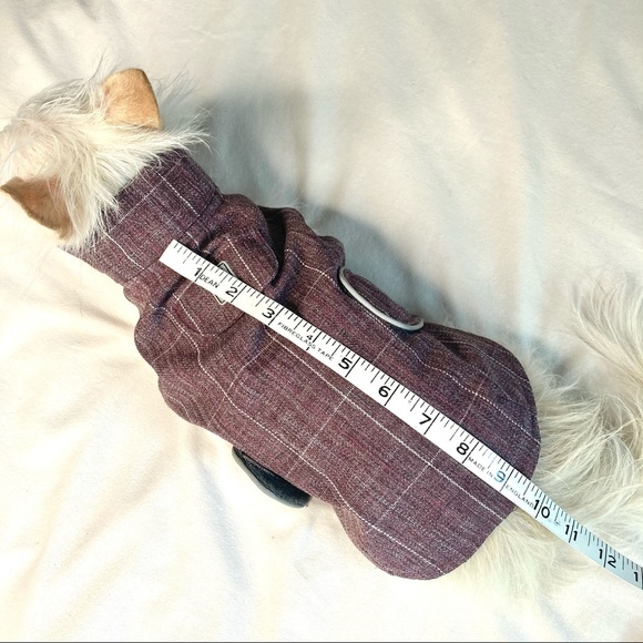 Raincoat with warm lining for small-size dog - Picture 3 of 12